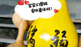 葫芦短视频,趣味横生的短视频盛宴